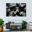 Harnek Roses BW-106812006
