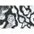 Image Brush Gel