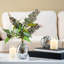 Arrangement floral d'eucalyptus dans un vase-62269585