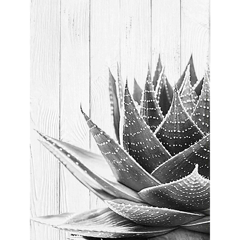 Agave Carnforth II sur fond de planche sur toile, H 16 po x l 12 po x P 1 po