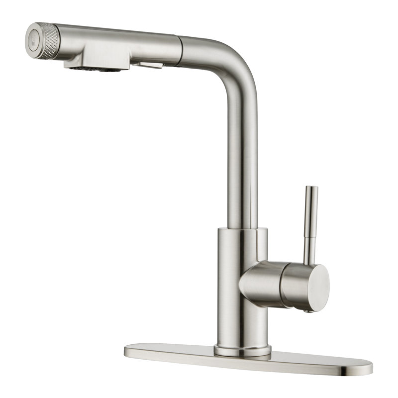 Single Handle Pull Down Sprayer Kitchen Faucet for Kitchen Sink with Water Filtered Function, Brushed Nickel