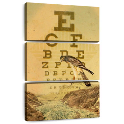 Tergel Bird's Vision