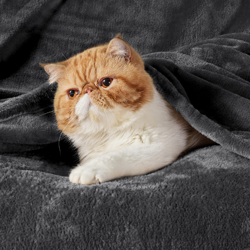 Bedsure Soft Fluffy Fleece Throw Blanket for Sofas&Beds, 200cm x 150cm, Grey Black