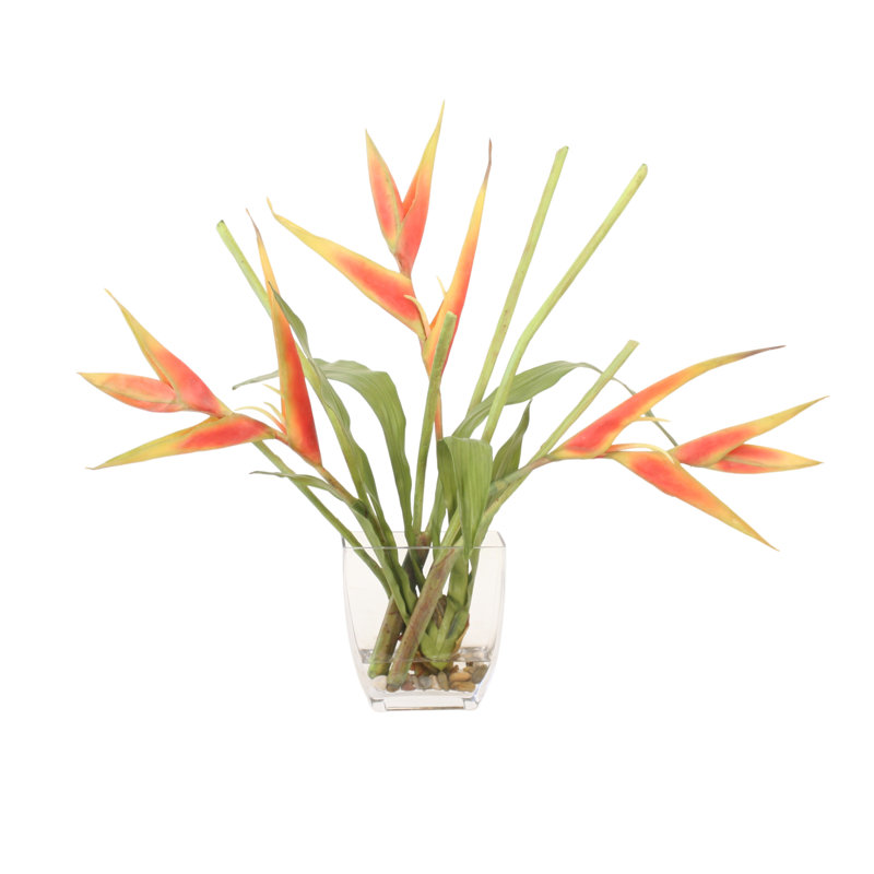 Dark Rose Heliconia in Narrow Vase