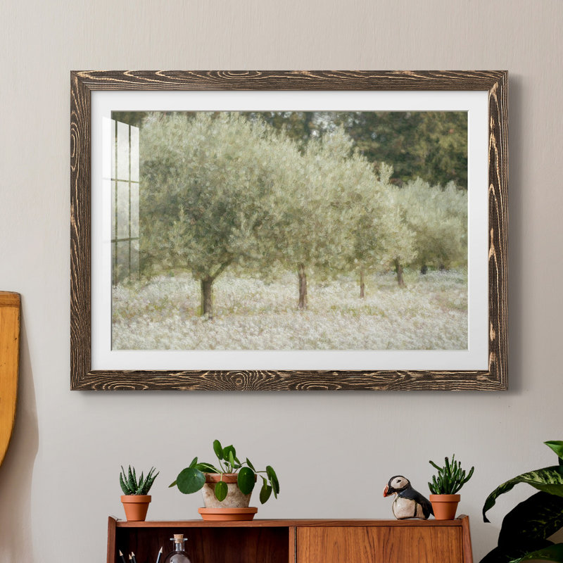 Paintograph Olive Trees - Reproduction de photo sur papier encadrée, H 37,5 po x l 27,5 po x P 1,5 po, Papier, cadre noyer