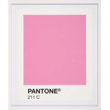 Color Swatch Print