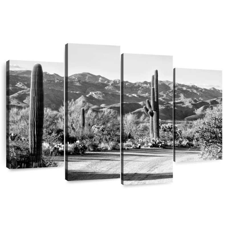 Alvord - Arizona noir - Cactus en route