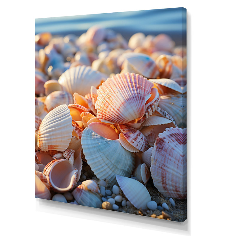 «Beach Photo Sunlit Shells I», reproduction sur toile, L 12 po x H 20 po, Toile tendue