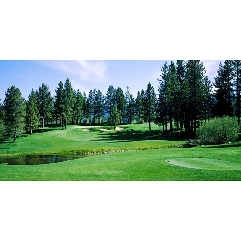 Murale Gagne Gagne Edgewood Tahoe, l 27 po x L 54 po