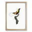 A Magnificent Bird of Paradise by Jacques Barraband - Framed Print-55453487-55453489