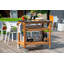 Alyxandria Solid Wood Bar Cart