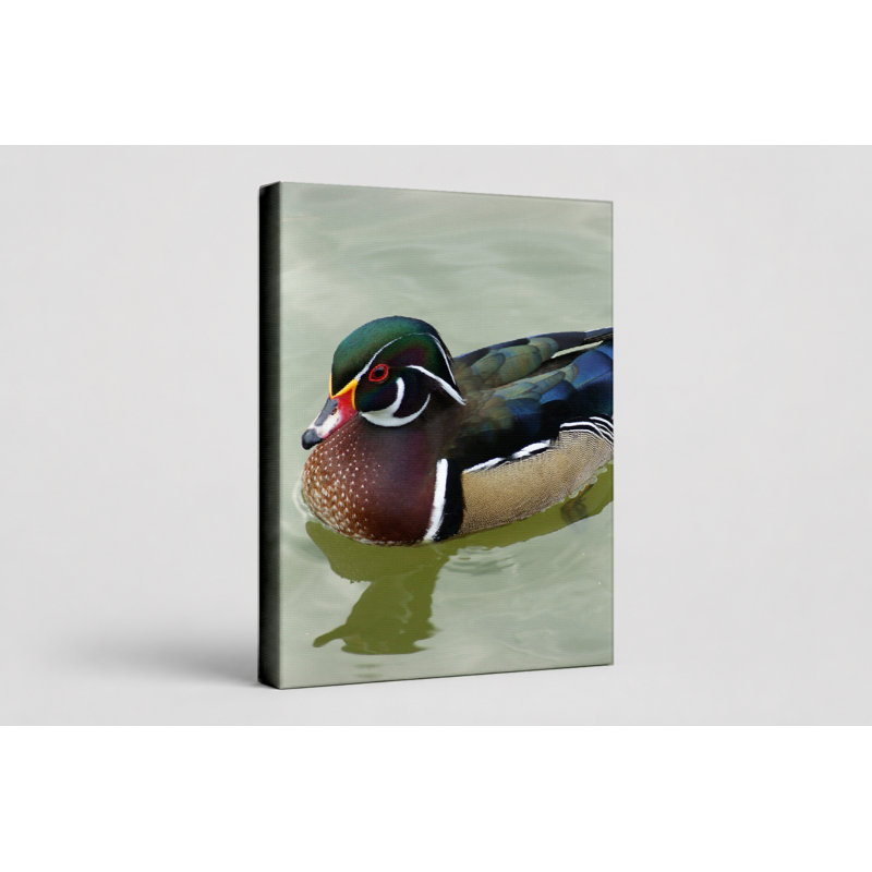 «10 Brown Titlark», art mural sur toile, 20" W x 16" H