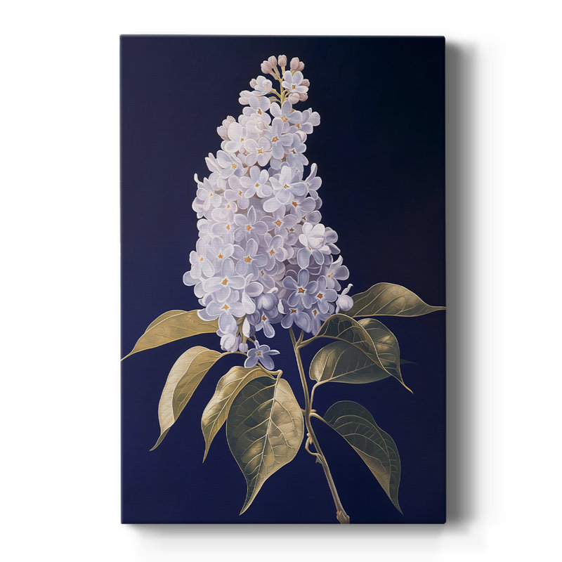 FLORAL Series CLxxxviii - galerie sur mesure