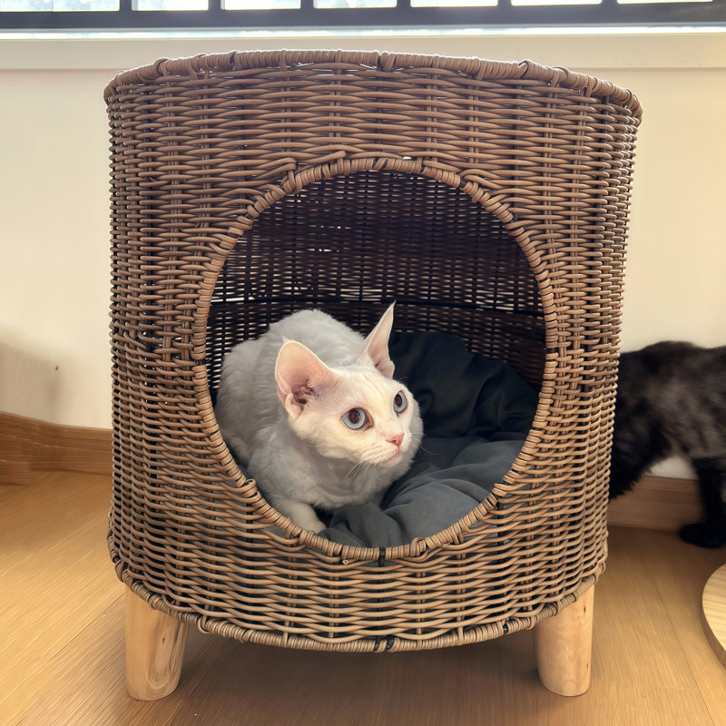 Lit-grotte surélevé en rotin PE tissé à la main avec pieds en bois massif, refuge pour animaux de compagnie à deux niveaux avec coussin moelleux lavable, peut supporter jusqu'à 13 lb, 16,5 po x 16,5 po x 17,7 po, brun