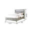 Lit Gurtej-679064763-679064760