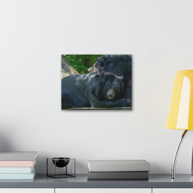No Frame Print on Canvas, 30.48cm H x 45.72cm W