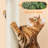 135cm H Cat Tree