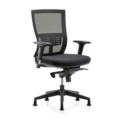 Emma Ergonomic Mesh Task Chair by Symple Stuff