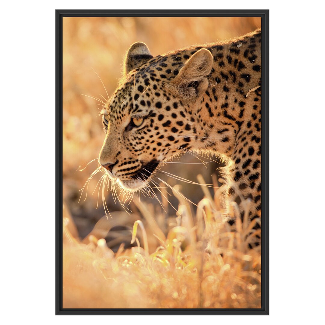 Gerahmtes Wandbild Jagender Leopard