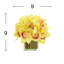 Orchids Arranged in Bamboo-Filled Glass Vase-1508589934