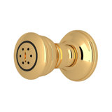 Michael Berman 2-Function Body Spray Fixed Shower Head