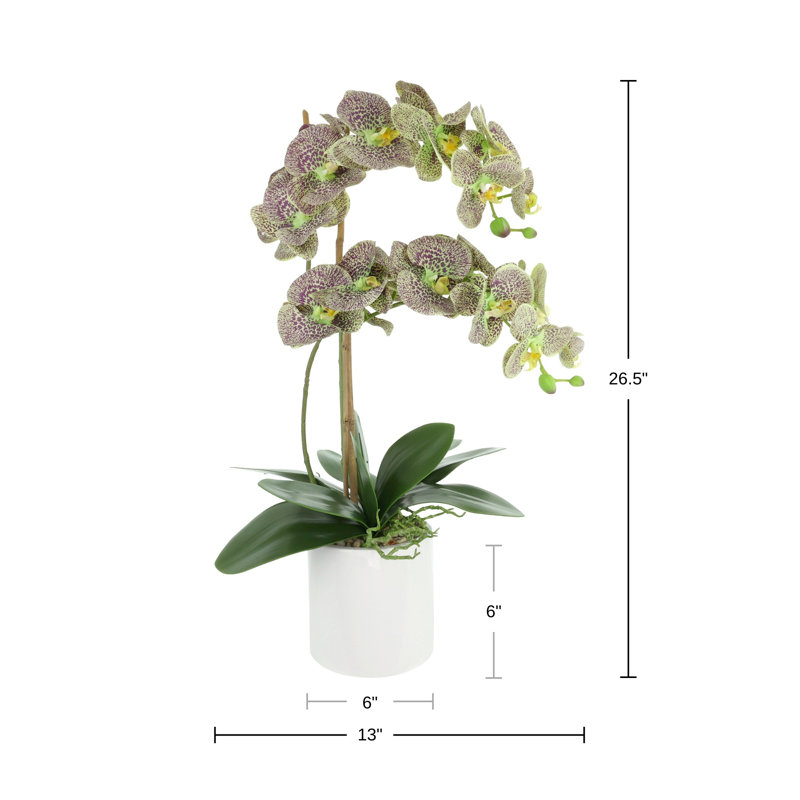 Double Orchid Arrangement, Green
