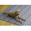 Tapis ivoire et bleu Joris-962727546