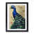 Black Framed selected