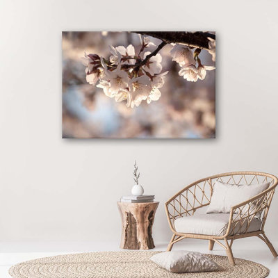 Cherry Blossom - Wrapped Canvas Print