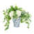 Vert