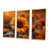 Toile avec cadre flottant or