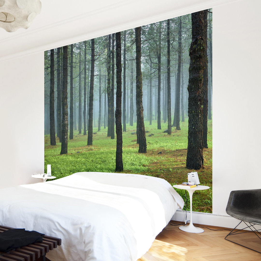 Deep Forest on La Palma 2.55m x 3.84m Embossed Matte Peel & Stick Wallpaper Roll