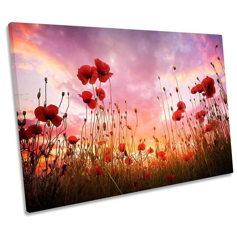 Red Poppies Sunset Floral - Wrapped Canvas Print, 30.5cm H x 45.7cm W x 2cm D