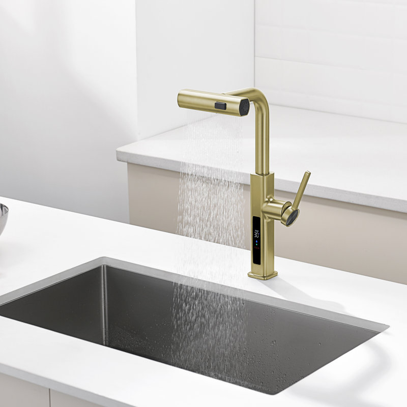 Single Handle Kitchen Faucet with Accessories, Brushed Gold