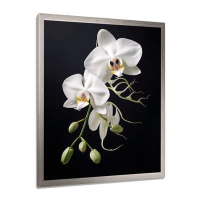 Orchidée délicate noire et blanche - décoration murale orchidée