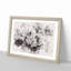 Winters Bloom Flowers Watercolour - Framed Print-56882197-56882200