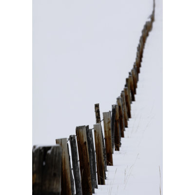 Le long de la clôture, reproduction de photo
