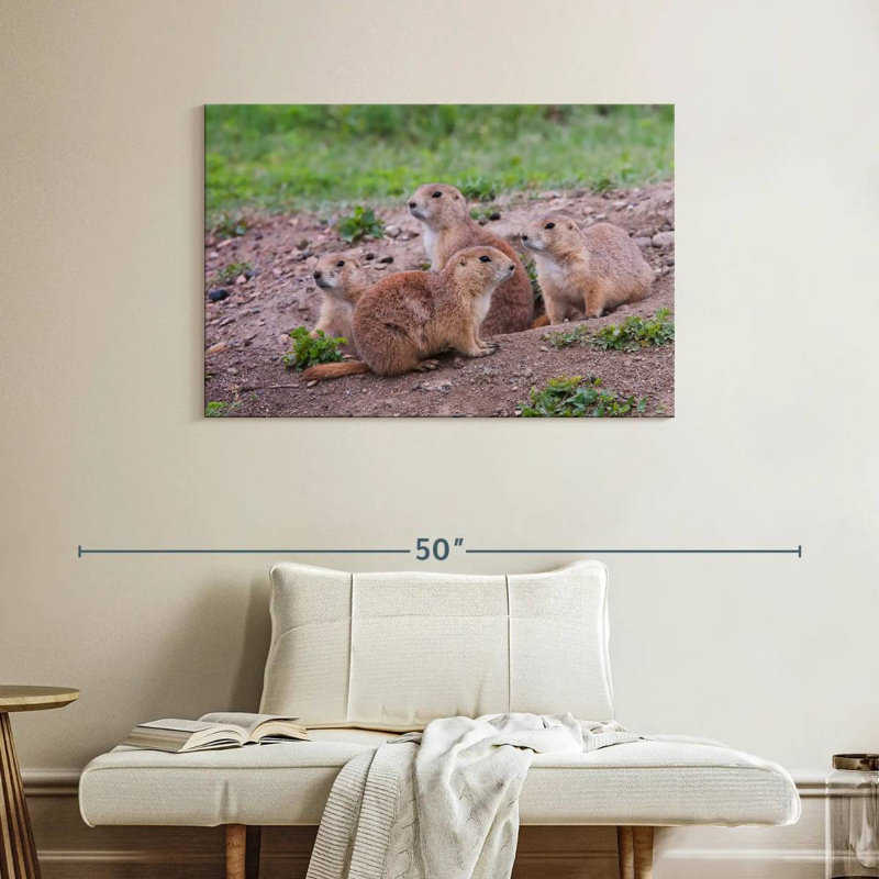 Brampt Forest Brampt Nursery, 26" H x 39" W
