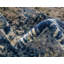 Tapis abstrait bleu marine / sauge Brantlie-23394534