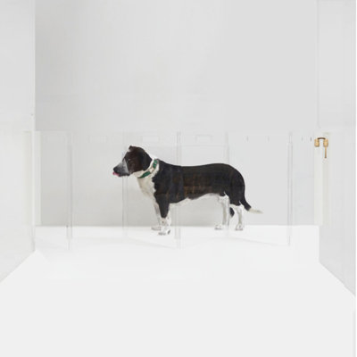Clear Zig Zag Wall-Mounted Pet Gate