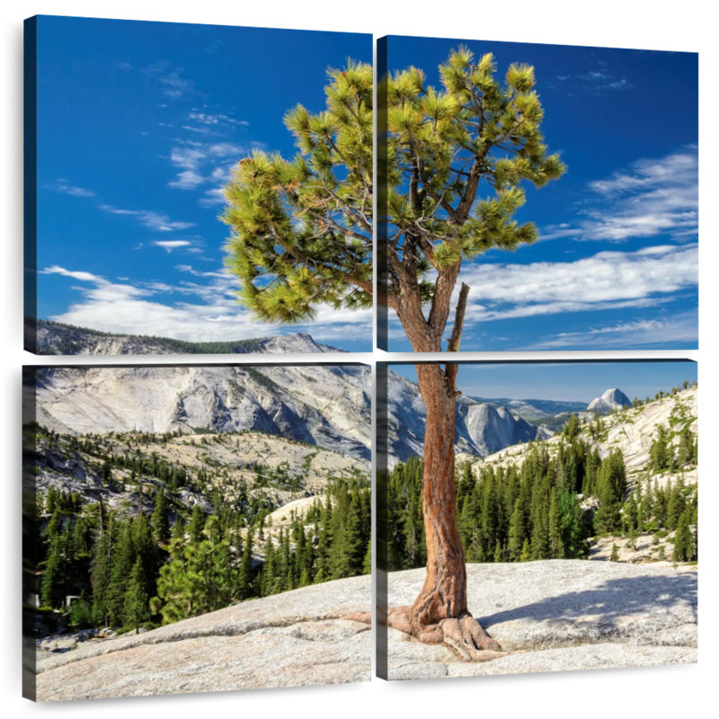 Harnek Yosemite Park Tree, 18" H x 18" W