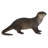 Standing Otter