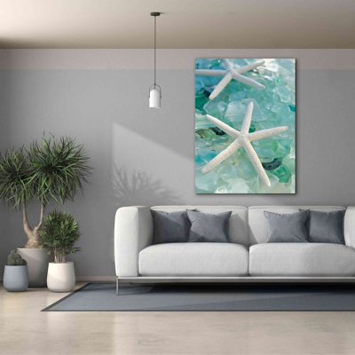 'Seaglass 1' by Alan Blaustein Giclee Canvas Wall Art