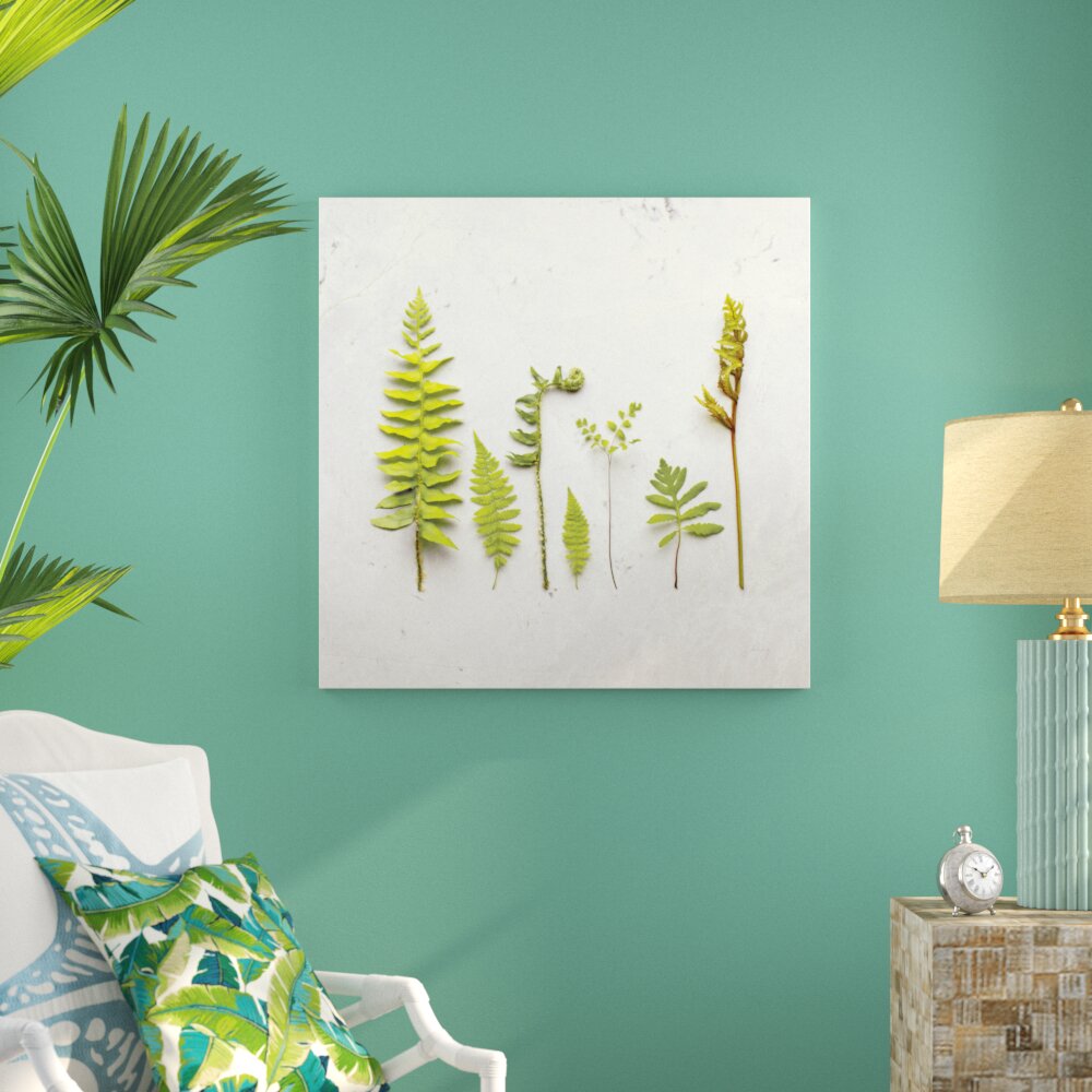 Leinwandbild Flat Lay Ferns III von Felicity Bradley