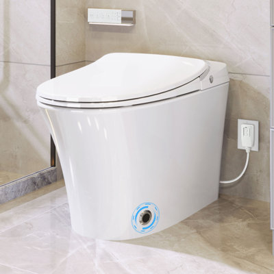 Toilette intelligente de luxe avec sécheuse et eau chaude, toilette de bidet allongée avec siège chauffant, avec télécommande, veilleuse à DEL, chasse d'eau en cas de panne de courant, couvercle à fermeture douce, blanc