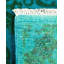 Xoi One-of-a-Kind 4' 1" X 6' 2" Hand Knotted Area Rug