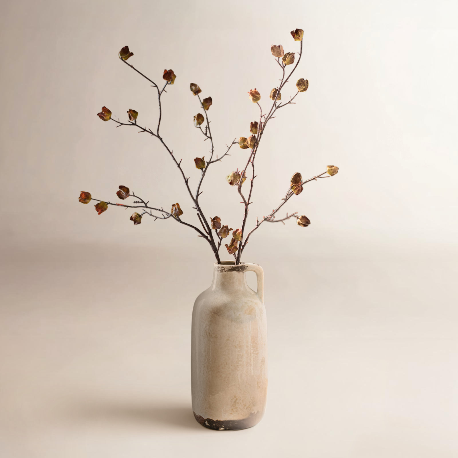 Hibiscus Floral Stems
