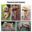 Chaussure pour chien antidérapante pour chien Summer-131215909