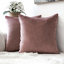 Housse de coussin en velours uni-352096244-352241801