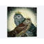 «Owls», impression sur toile-29280424-74729736-74730364